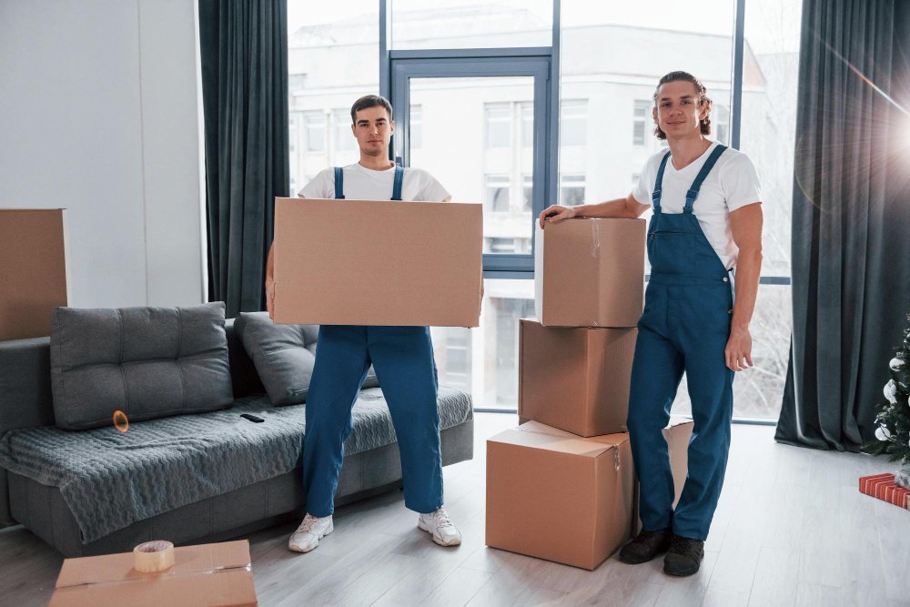 packers vs movers